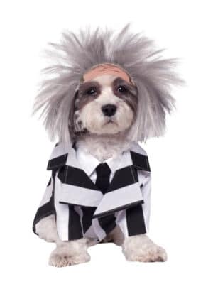 BeetlejuiceÂ® Hundekostume