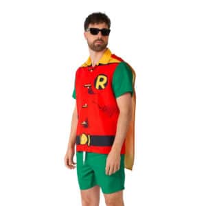 BatmanÂ® Robin Festivalsæt