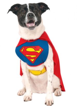 SupermanÂ® Hundekostume