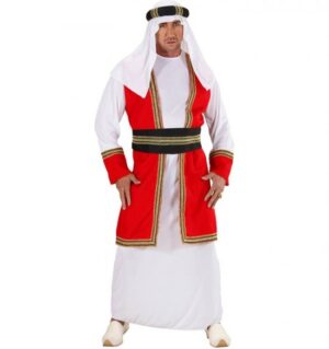 Cool Sheik Kostume